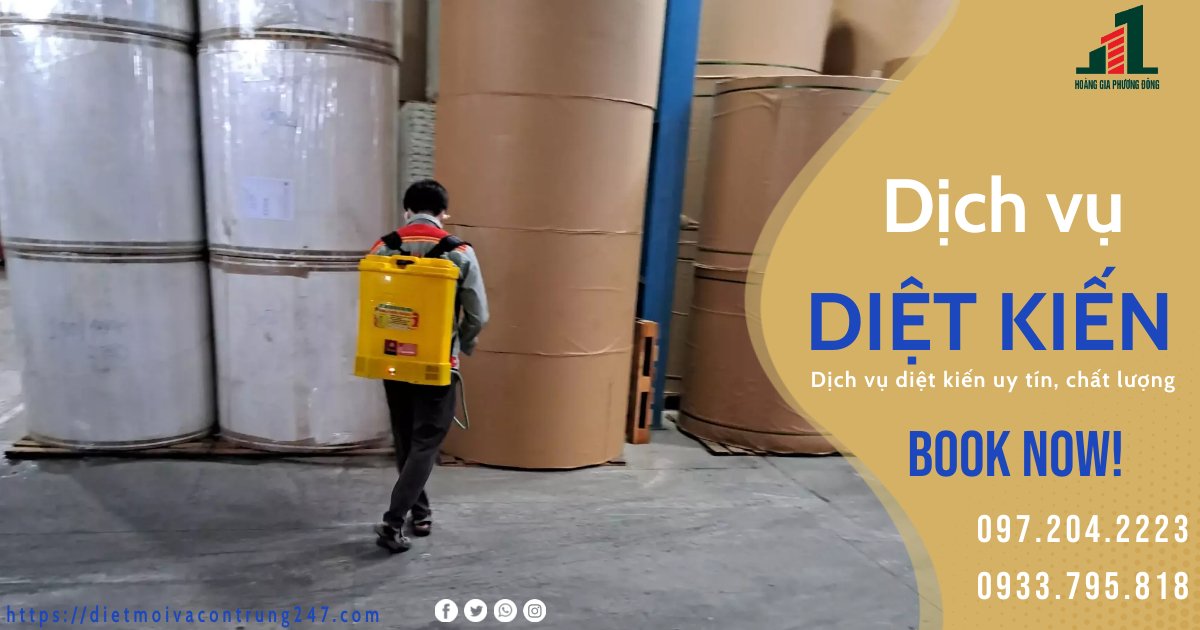 DỊCH VỤ DIỆT KIẾN TẠI NHÀ